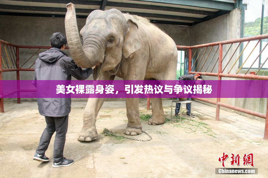 美女裸露身姿，引发热议与争议揭秘