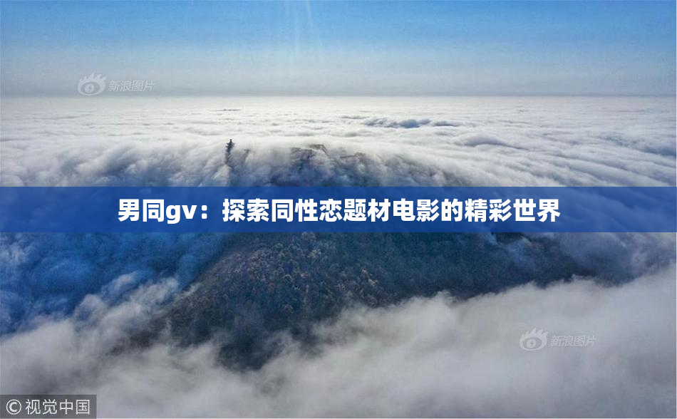 男同gv：探索同性恋题材电影的精彩世界