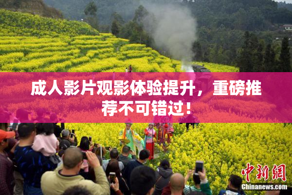 成人影片观影体验提升，重磅推荐不可错过！