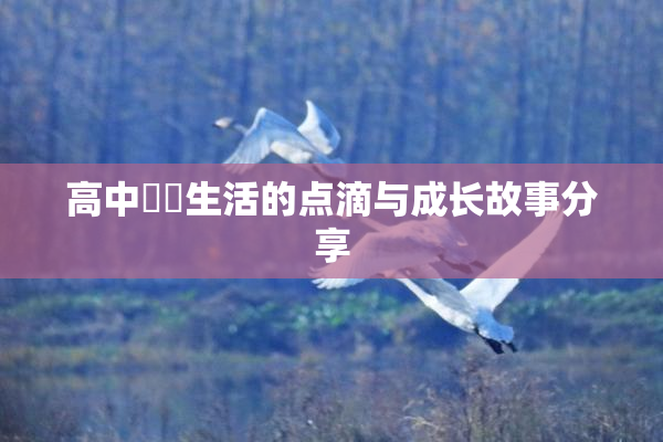 高中妺妺生活的点滴与成长故事分享