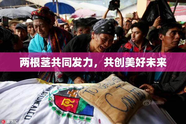 两根茎共同发力，共创美好未来