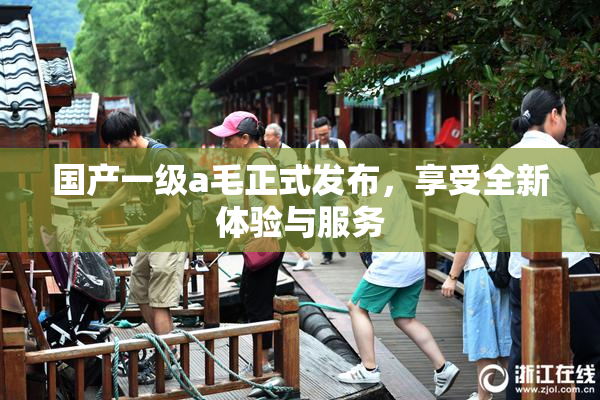 国产一级a毛正式发布，享受全新体验与服务