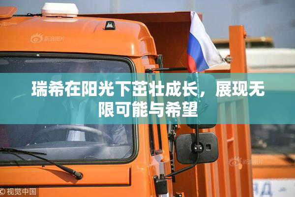 瑞希在阳光下茁壮成长，展现无限可能与希望
