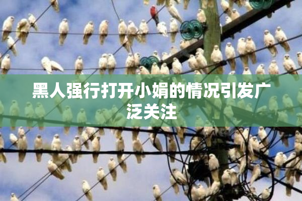 黑人强行打开小娟的情况引发广泛关注