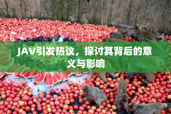 JAV引发热议，探讨其背后的意义与影响