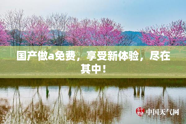 国产做a免费，享受新体验，尽在其中！