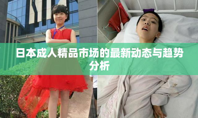 日本成人精品市场的最新动态与趋势分析