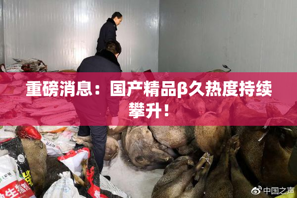 重磅消息：国产精品β久热度持续攀升！