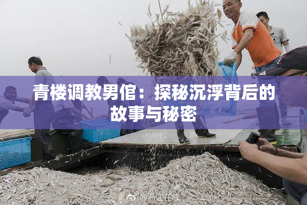 青楼调教男倌：探秘沉浮背后的故事与秘密