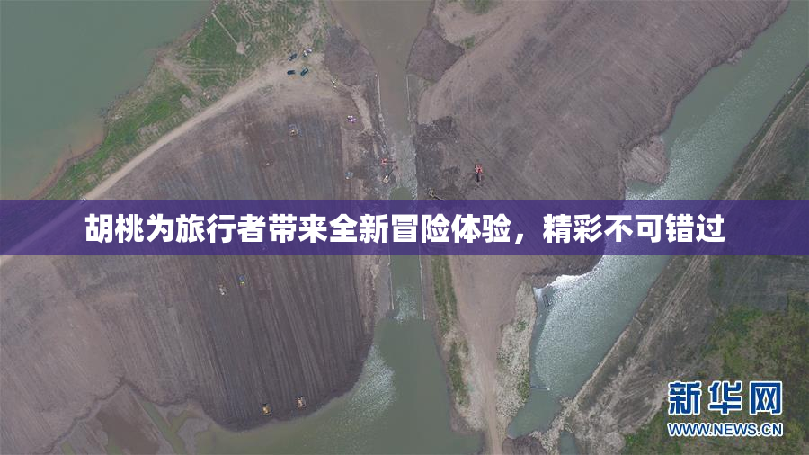 胡桃为旅行者带来全新冒险体验，精彩不可错过