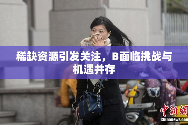 稀缺资源引发关注，B面临挑战与机遇并存