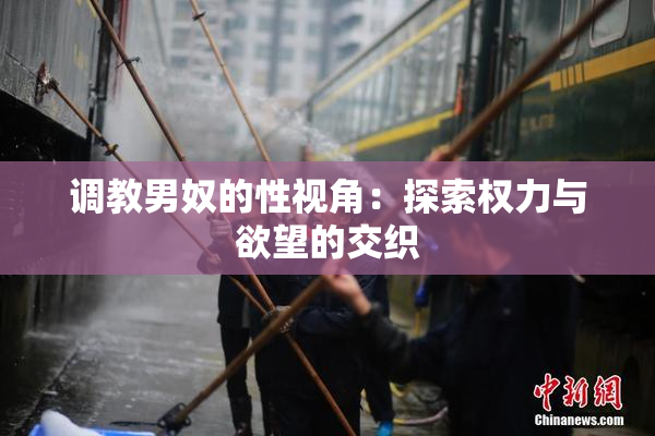 调教男奴的性视角：探索权力与欲望的交织