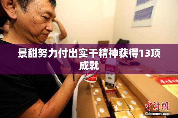 景甜努力付出实干精神获得13项成就