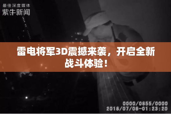 雷电将军3D震撼来袭，开启全新战斗体验！
