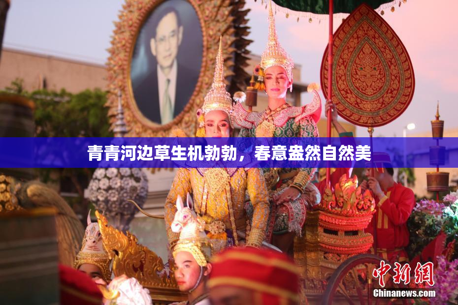 青青河边草生机勃勃，春意盎然自然美