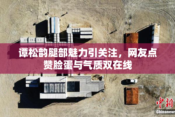 谭松韵腿部魅力引关注，网友点赞脸蛋与气质双在线