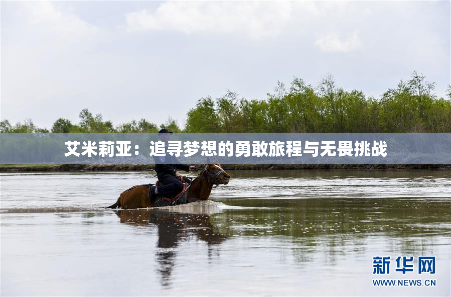 艾米莉亚：追寻梦想的勇敢旅程与无畏挑战