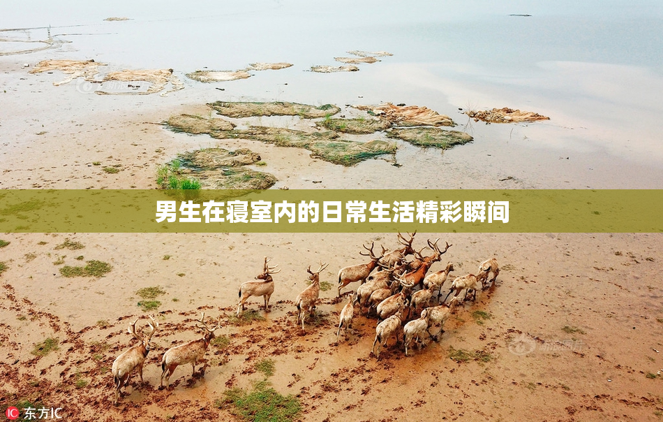 男生在寝室内的日常生活精彩瞬间