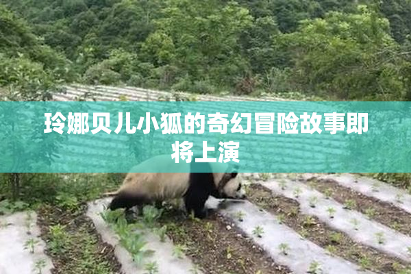 玲娜贝儿小狐的奇幻冒险故事即将上演