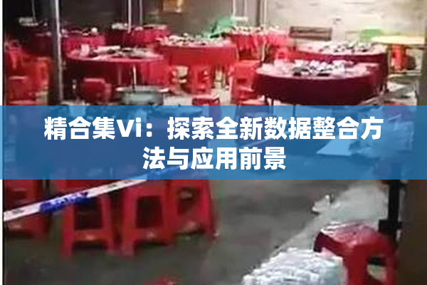 精合集Vi：探索全新数据整合方法与应用前景