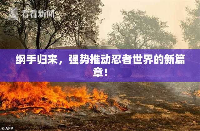 纲手归来，强势推动忍者世界的新篇章！
