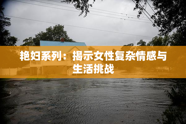 艳妇系列：揭示女性复杂情感与生活挑战