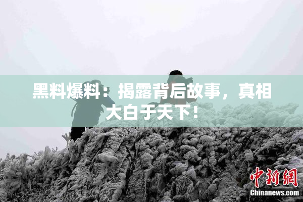黑料爆料：揭露背后故事，真相大白于天下！