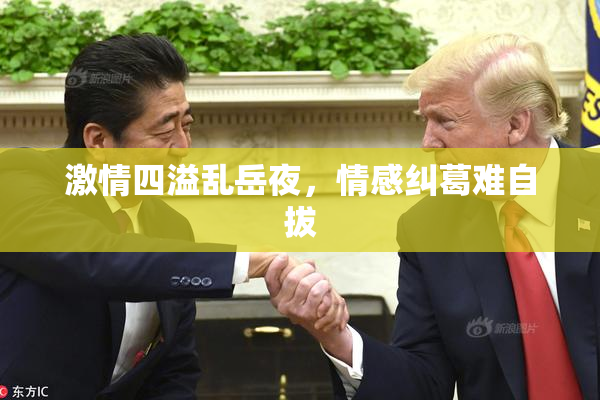 激情四溢乱岳夜，情感纠葛难自拔