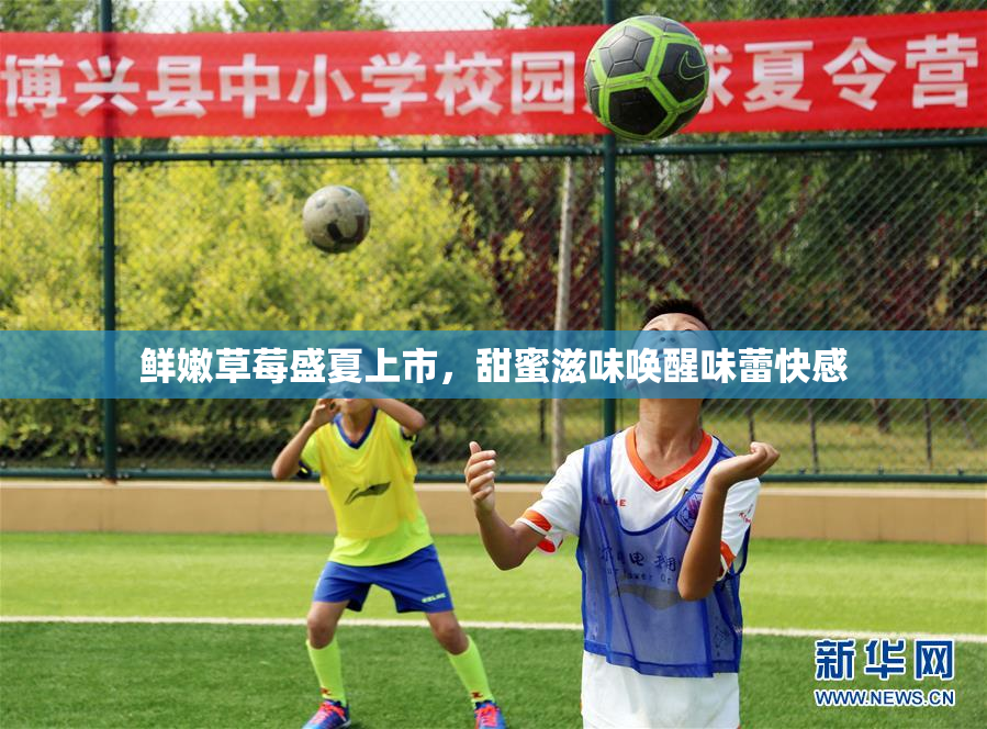 鲜嫩草莓盛夏上市，甜蜜滋味唤醒味蕾快感
