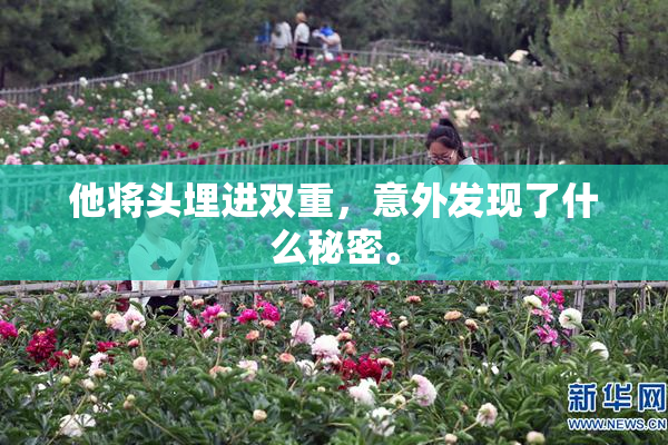 他将头埋进双重，意外发现了什么秘密。