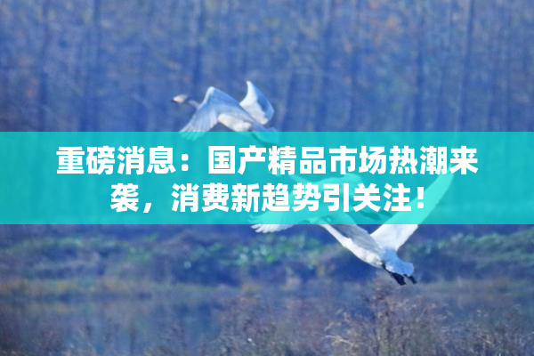 重磅消息：国产精品市场热潮来袭，消费新趋势引关注！