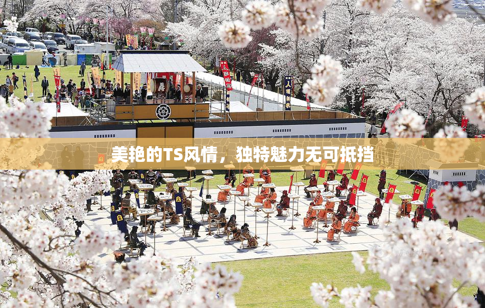 美艳的TS风情，独特魅力无可抵挡