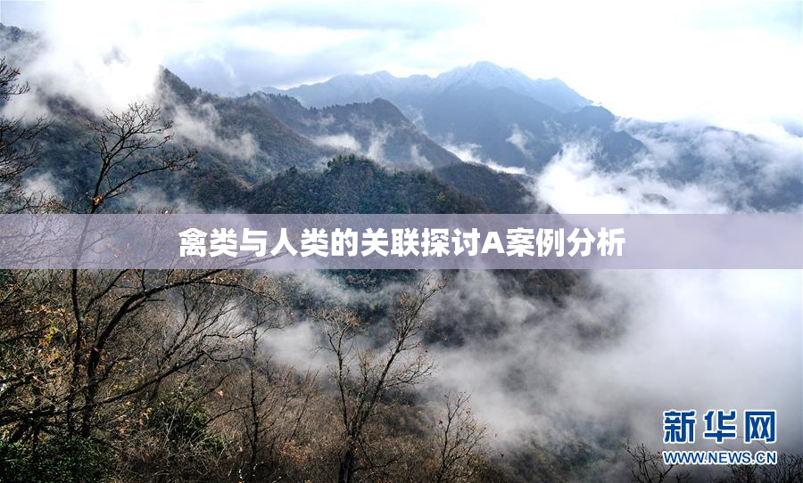 禽类与人类的关联探讨A案例分析