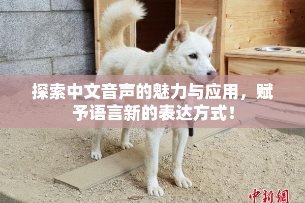 探索中文音声的魅力与应用，赋予语言新的表达方式！