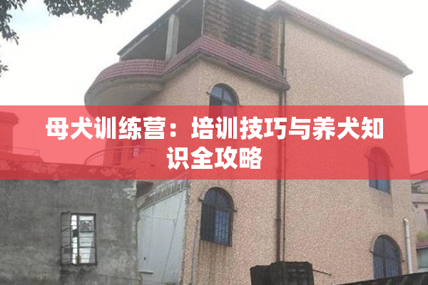 母犬训练营：培训技巧与养犬知识全攻略