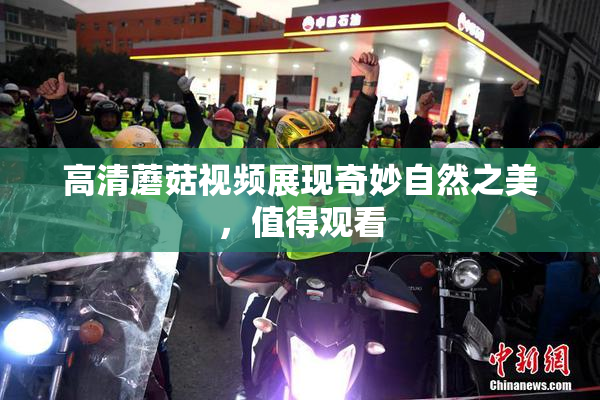 高清蘑菇视频展现奇妙自然之美，值得观看