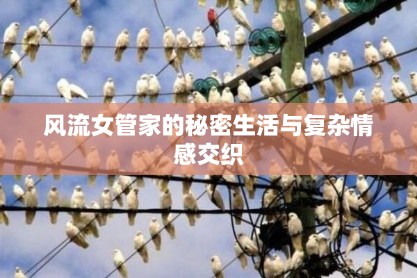风流女管家的秘密生活与复杂情感交织