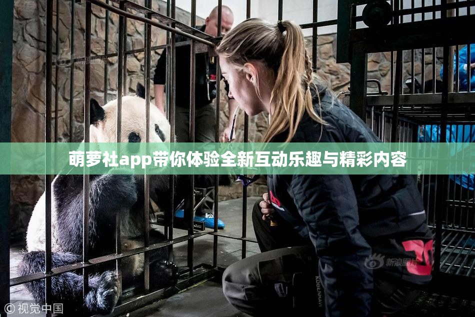 萌萝社app带你体验全新互动乐趣与精彩内容