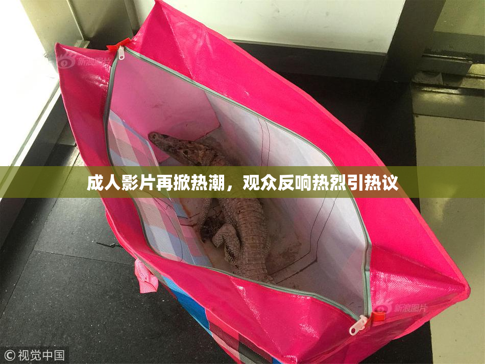 成人影片再掀热潮，观众反响热烈引热议
