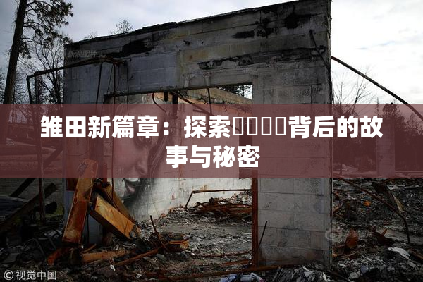雏田新篇章：探索❌‌❌‌背后的故事与秘密
