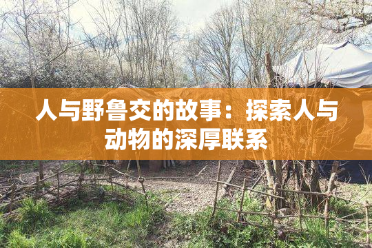 人与野鲁交的故事：探索人与动物的深厚联系