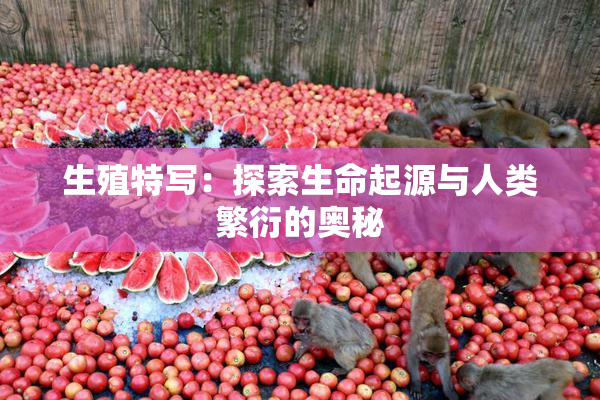生殖特写：探索生命起源与人类繁衍的奥秘