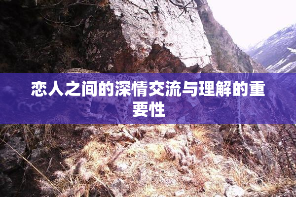 恋人之间的深情交流与理解的重要性