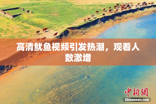 高清鱿鱼视频引发热潮，观看人数激增