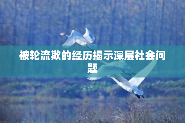 被轮流欺的经历揭示深层社会问题