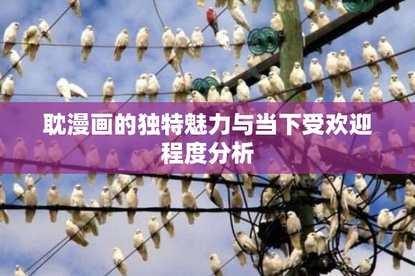 耽漫画的独特魅力与当下受欢迎程度分析
