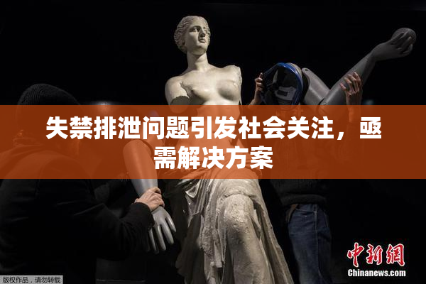 失禁排泄问题引发社会关注，亟需解决方案