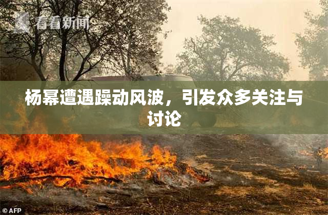 杨幂遭遇躁动风波，引发众多关注与讨论
