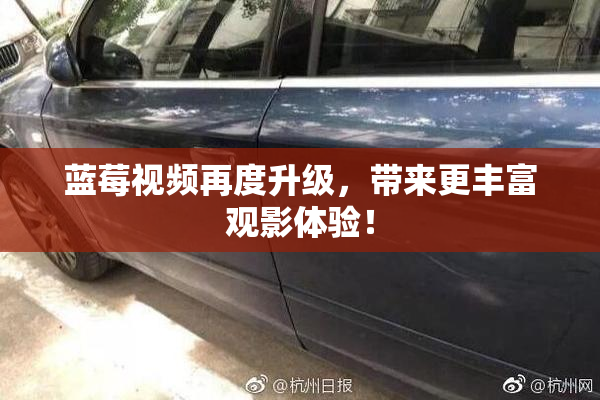 蓝莓视频再度升级，带来更丰富观影体验！