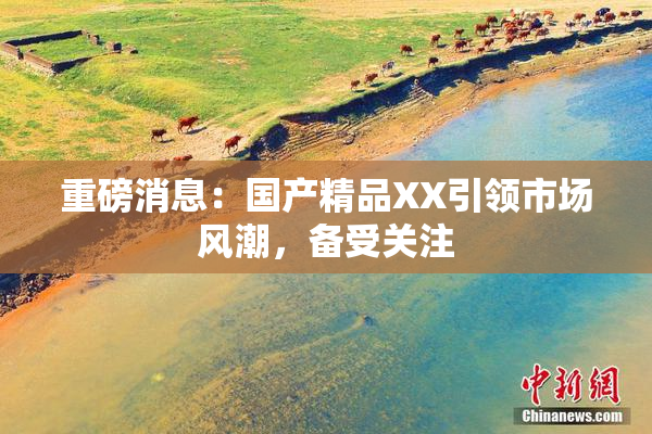 重磅消息：国产精品XX引领市场风潮，备受关注